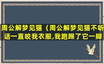 周公解梦见猫（周公解梦见猫不听话一直咬我衣服,我跑踢了它一脚）