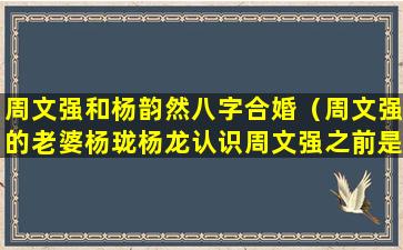 周文强和杨韵然八字合婚（周文强的老婆杨珑杨龙认识周文强之前是讲师吗）