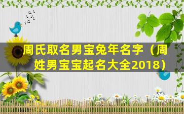 周氏取名男宝兔年名字（周姓男宝宝起名大全2018）