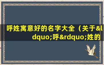 呼姓寓意好的名字大全（关于“呼”姓的历史和现状的研究报告）