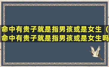 命中有贵子就是指男孩或是女生（命中有贵子就是指男孩或是女生吗）