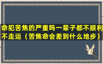 命犯苦焦的严重吗一辈子都不顺利不走运（苦焦命会差到什么地步）