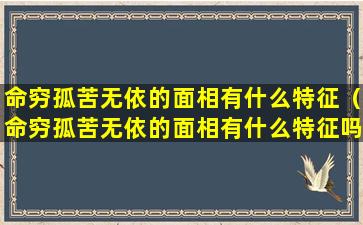 命穷孤苦无依的面相有什么特征（命穷孤苦无依的面相有什么特征吗）