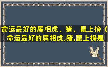 命运最好的属相虎、猪、鼠上榜（命运最好的属相虎,猪,鼠上榜是哪一年）