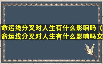 命运线分叉对人生有什么影响吗（命运线分叉对人生有什么影响吗女人）