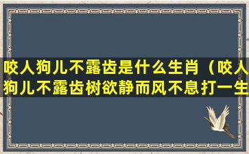 咬人狗儿不露齿是什么生肖（咬人狗儿不露齿树欲静而风不息打一生肖）