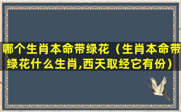 哪个生肖本命带绿花（生肖本命带绿花什么生肖,西天取经它有份）