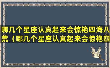 哪几个星座认真起来会惊艳四海八荒（哪几个星座认真起来会惊艳四海八荒的人）