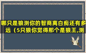 哪只是狼测你的智商离白痴还有多远（5只狼你觉得那个是狼王,测你是不是天生老板命）