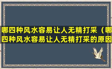 哪四种风水容易让人无精打采（哪四种风水容易让人无精打采的原因）