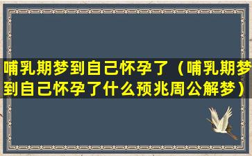 哺乳期梦到自己怀孕了（哺乳期梦到自己怀孕了什么预兆周公解梦）