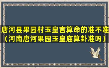 唐河县果园村玉皇宫算命的准不准（河南唐河果园玉皇庙算卦准吗）