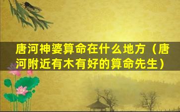 唐河神婆算命在什么地方（唐河附近有木有好的算命先生）