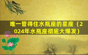 唯一管得住水瓶座的星座（2024年水瓶座彻底大爆发）