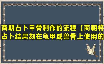 商朝占卜甲骨制作的流程（商朝将占卜结果刻在龟甲或兽骨上使用的文字叫做什么）