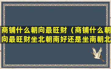 商铺什么朝向最旺财（商铺什么朝向最旺财坐北朝南好还是坐南朝北好）