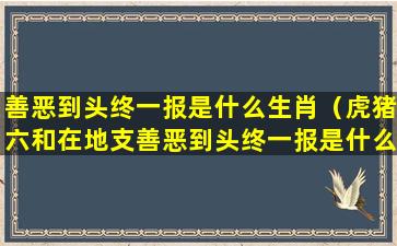 善恶到头终一报是什么生肖（虎猪六和在地支善恶到头终一报是什么生肖）