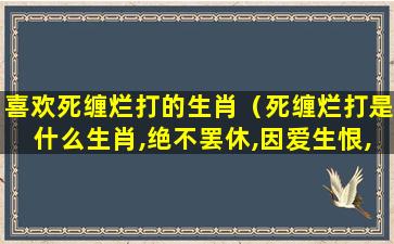 喜欢死缠烂打的生肖（死缠烂打是什么生肖,绝不罢休,因爱生恨,反目成仇）