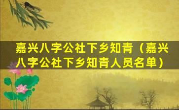 嘉兴八字公社下乡知青（嘉兴八字公社下乡知青人员名单）