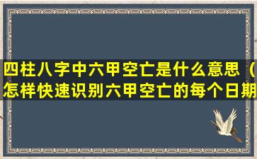 四柱八字中六甲空亡是什么意思（怎样快速识别六甲空亡的每个日期）