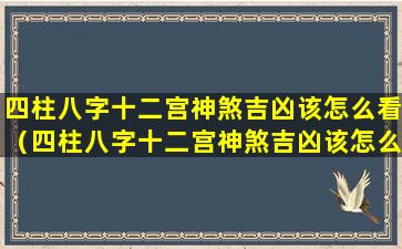 四柱八字十二宫神煞吉凶该怎么看（四柱八字十二宫神煞吉凶该怎么看出来）