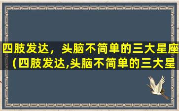 四肢发达，头脑不简单的三大星座（四肢发达,头脑不简单的三大星座）