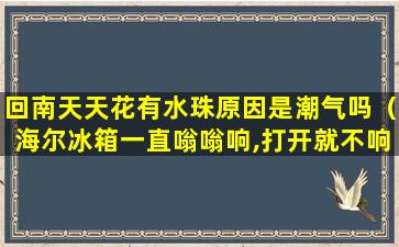 回南天天花有水珠原因是潮气吗（海尔冰箱一直嗡嗡响,打开就不响了）