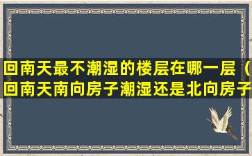 回南天最不潮湿的楼层在哪一层（回南天南向房子潮湿还是北向房子潮湿）