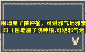 围墙屋子院种榆，可避邪气远邪崇吗（围墙屋子院种榆,可避邪气远邪崇吗）