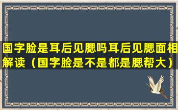 国字脸是耳后见腮吗耳后见腮面相解读（国字脸是不是都是腮帮大）