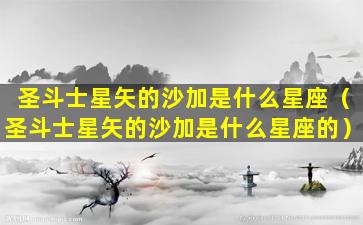 圣斗士星矢的沙加是什么星座（圣斗士星矢的沙加是什么星座的）