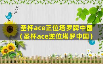 圣杯ace正位塔罗牌中国（圣杯ace逆位塔罗中国）