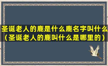 圣诞老人的鹿是什么鹿名字叫什么（圣诞老人的鹿叫什么是哪里的）