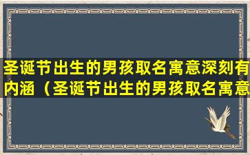 圣诞节出生的男孩取名寓意深刻有内涵（圣诞节出生的男孩取名寓意深刻有内涵的名字）