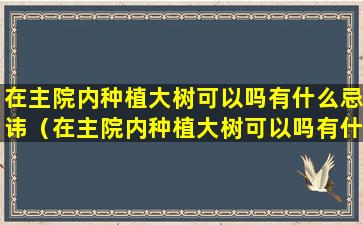 在主院内种植大树可以吗有什么忌讳（在主院内种植大树可以吗有什么忌讳吗）