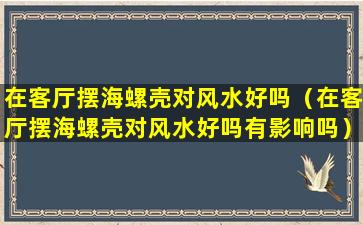 在客厅摆海螺壳对风水好吗（在客厅摆海螺壳对风水好吗有影响吗）