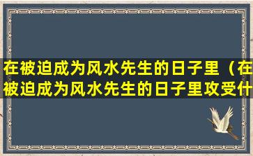 在被迫成为风水先生的日子里（在被迫成为风水先生的日子里攻受什么时候在一起）