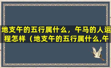 地支午的五行属什么，午马的人运程怎样（地支午的五行属什么,午马的人运程怎样）