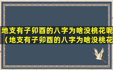 地支有子卯酉的八字为啥没桃花呢（地支有子卯酉的八字为啥没桃花呢怎么办）