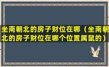 坐南朝北的房子财位在哪（坐南朝北的房子财位在哪个位置属鼠的）