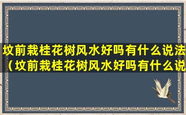 坟前栽桂花树风水好吗有什么说法（坟前栽桂花树风水好吗有什么说法嘛）