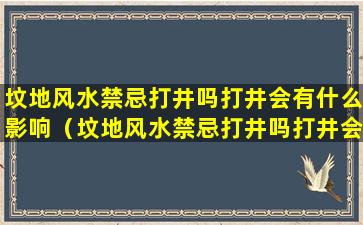 坟地风水禁忌打井吗打井会有什么影响（坟地风水禁忌打井吗打井会有什么影响吗）