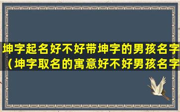 坤字起名好不好带坤字的男孩名字（坤字取名的寓意好不好男孩名字带坤的最佳配字推荐）