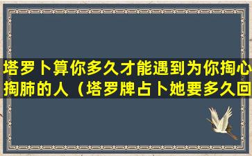 塔罗卜算你多久才能遇到为你掏心掏肺的人（塔罗牌占卜她要多久回到我身边）