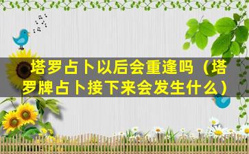 塔罗占卜以后会重逢吗（塔罗牌占卜接下来会发生什么）