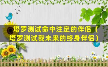 塔罗测试命中注定的伴侣（塔罗测试我未来的终身伴侣）