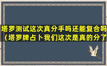 塔罗测试这次真分手吗还能复合吗（塔罗牌占卜我们这次是真的分了吗）