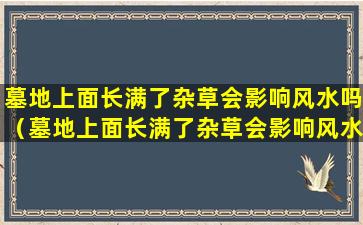 墓地上面长满了杂草会影响风水吗（墓地上面长满了杂草会影响风水吗为什么）