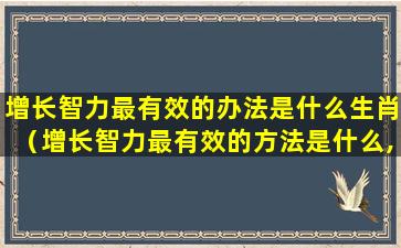 增长智力最有效的办法是什么生肖（增长智力最有效的方法是什么,脑筋急转弯打一生肖）