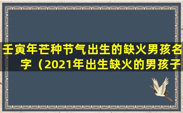 壬寅年芒种节气出生的缺火男孩名字（2021年出生缺火的男孩子名字）